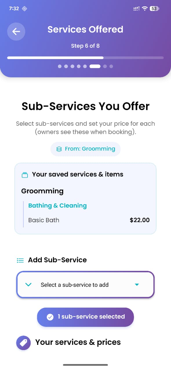 Provider services offered screen