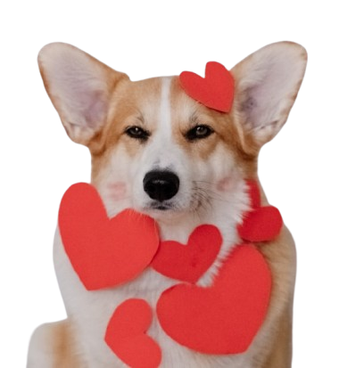 Cute corgi mascot surrounded by hearts